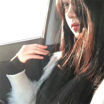 神探默多克第五季