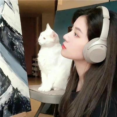 吃货拯救世界