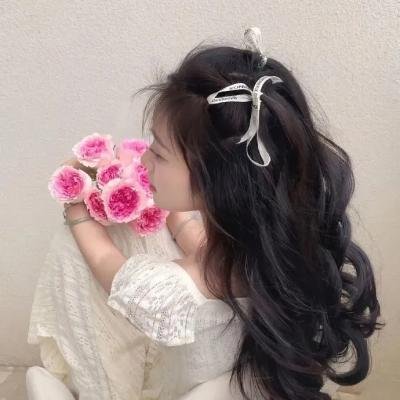 星河战队:入侵